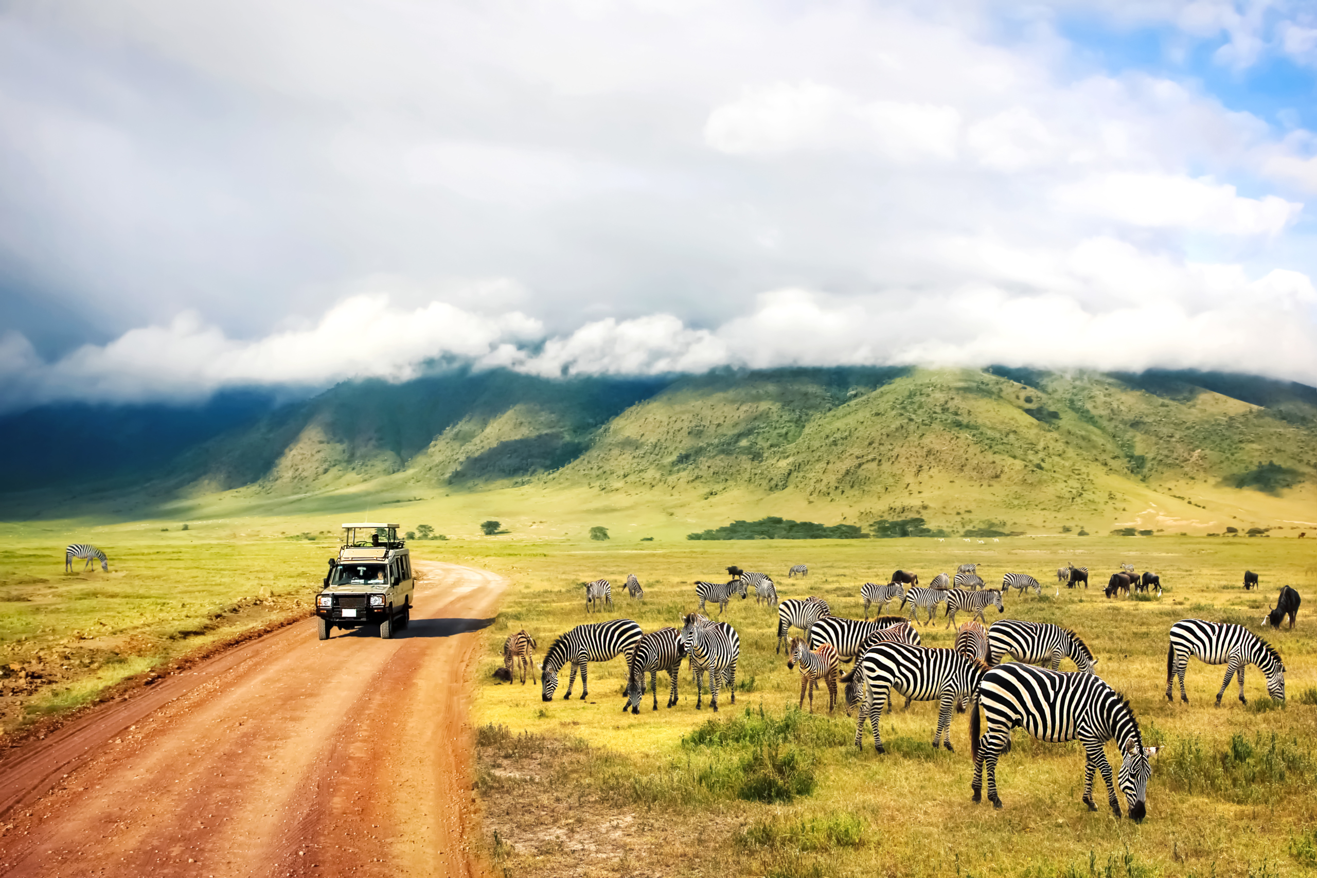 Travel Partners for Tanzania